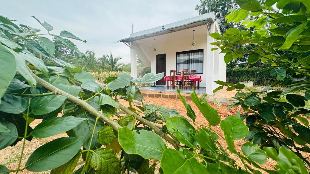 Open-air dining veranda and breakfast